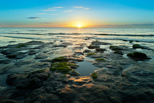 Click Here To Enter The Seascape Gallery